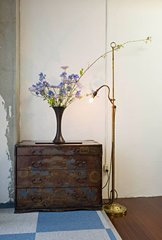 shop photo
