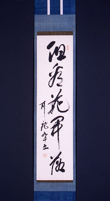 摜Fi suAŉԊJv